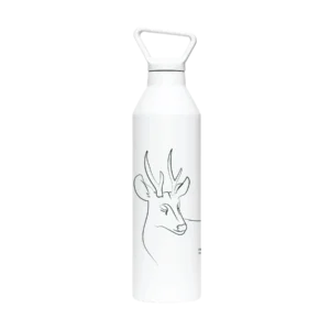botella