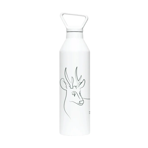 botella